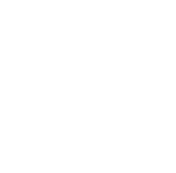 logo-wheel-white